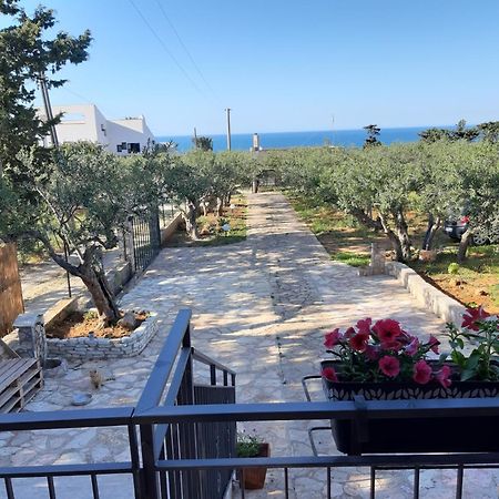 Villa L'Orizzonte Di Calabianca Castellammare del Golfo Zewnętrze zdjęcie