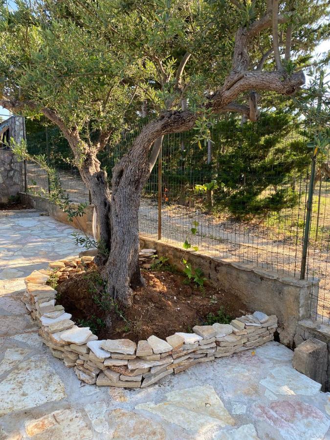 Villa L'Orizzonte Di Calabianca Castellammare del Golfo Zewnętrze zdjęcie