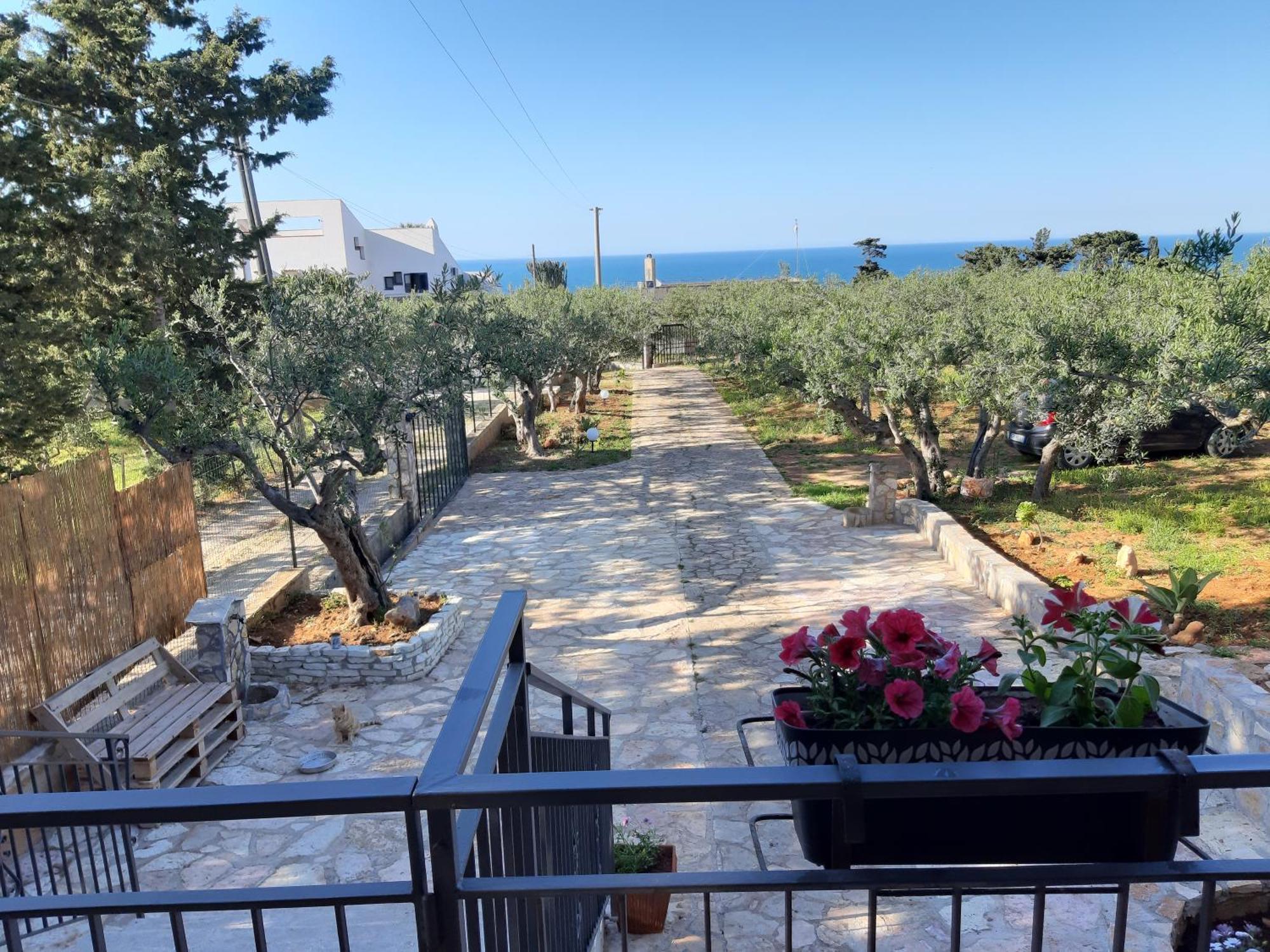 Villa L'Orizzonte Di Calabianca Castellammare del Golfo Zewnętrze zdjęcie