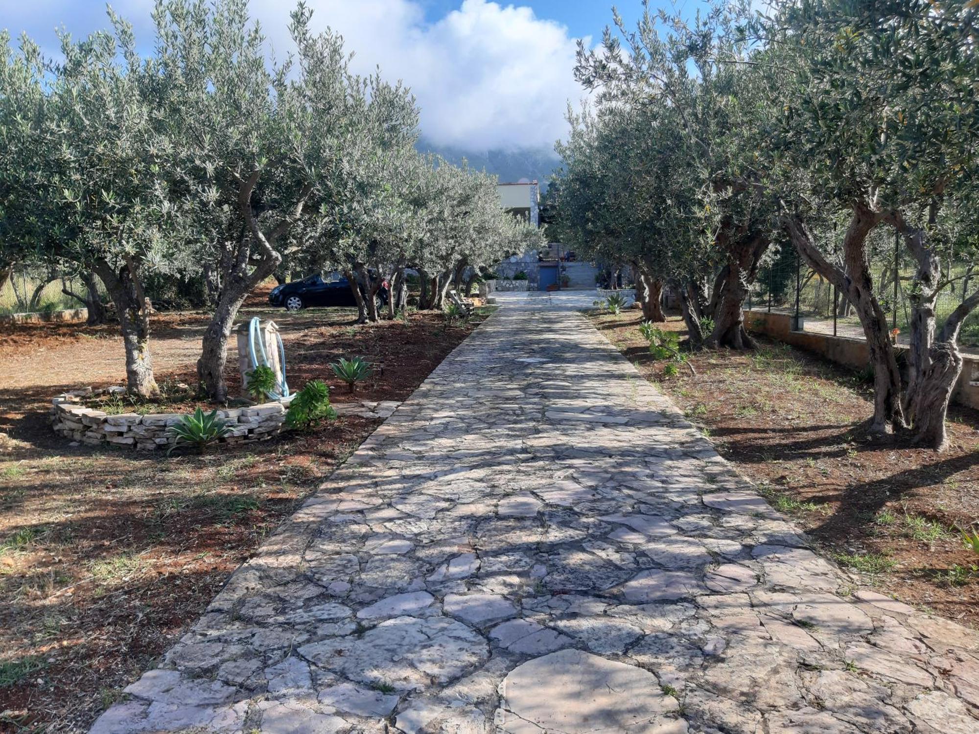 Villa L'Orizzonte Di Calabianca Castellammare del Golfo Zewnętrze zdjęcie