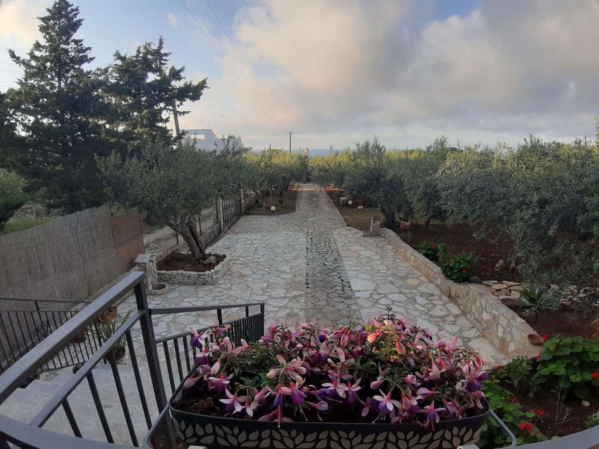 Villa L'Orizzonte Di Calabianca Castellammare del Golfo Zewnętrze zdjęcie